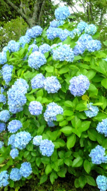 160721_184107~2.jpg