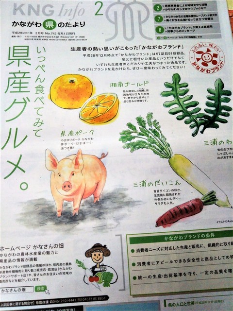 かながわ県のたより.jpg