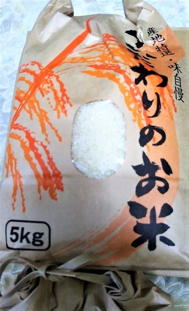 はるみ.jpg