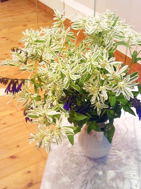 今日の花瓶花.jpg