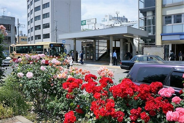 南口 (2).jpg