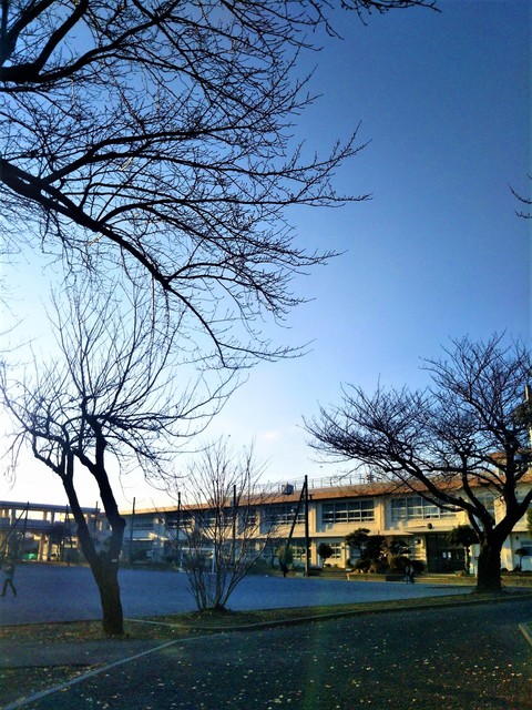 小学校.jpg