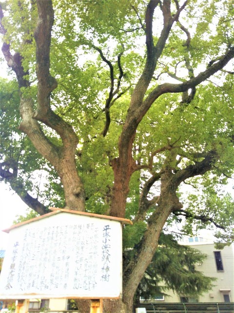 楠 崇善公民館前.jpg