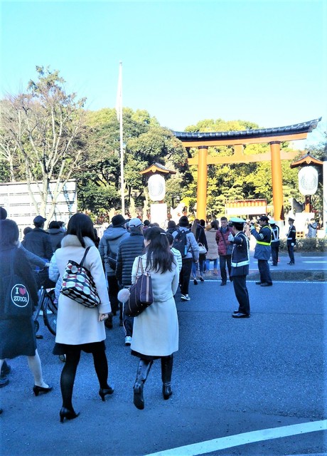 横断.jpg