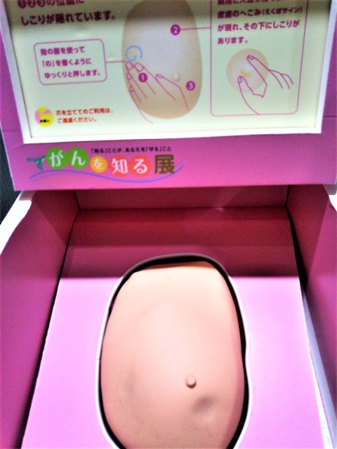 自己検診.jpg