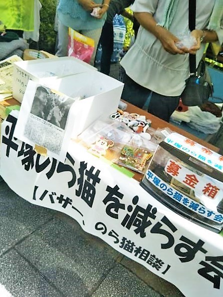 野良猫.jpg