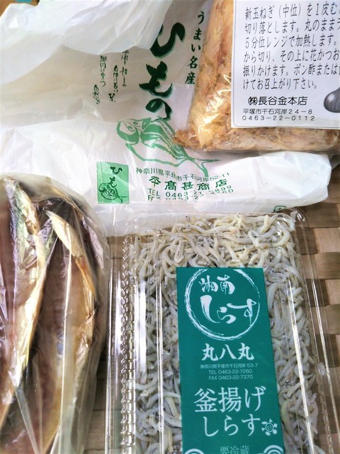 須賀.jpg