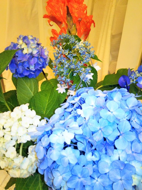 IMG_20170628_151214.jpg